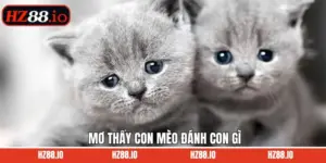 Mơ Thấy Con Mèo Đánh Con Gì  - Tổng Hợp Điềm Báo Và Ý Nghĩa