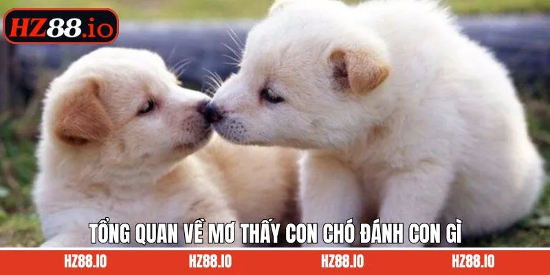 Tìm hiểu về việc mơ thấy chó