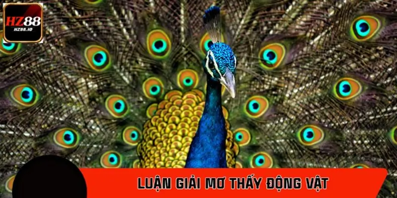 Khi thấy chim công Khi thấy chim công