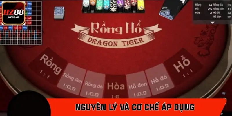 Nguyên lý và cơ chế áp dụng chiến lược gấp thếp