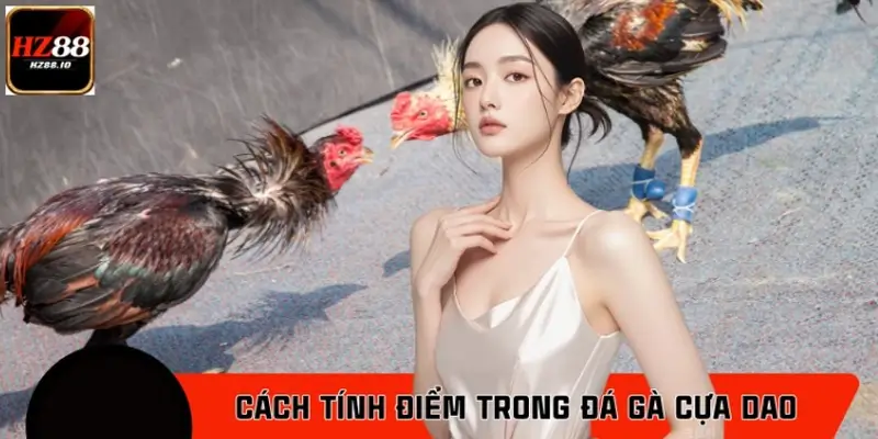 Cách tính điểm trong các trận đá gà cựa dao được quy định ra sao?