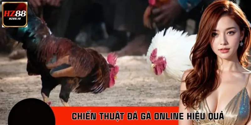 Chiến Thuật Đá Gà Online Hiệu Quả HZ88 Giúp Tăng Tỷ Lệ Thắng
