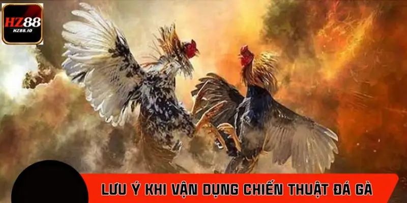 Lưu ý khi sư kê vận dụng chiến thuật đá gà