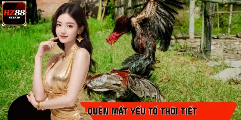 Quên mất yếu tố thời tiết ảnh hưởng đến lối đá
