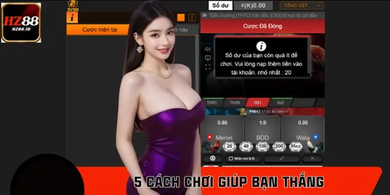 Top 5 cách chơi đá gà ít ai biết giúp bạn nắm chắc phần thắng